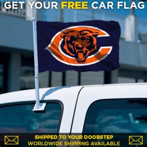 Bears Car Flag