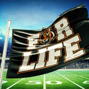 Bengals for life flag