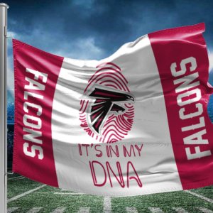 Falcons dna flag