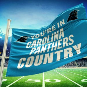 Panthers Country Flag