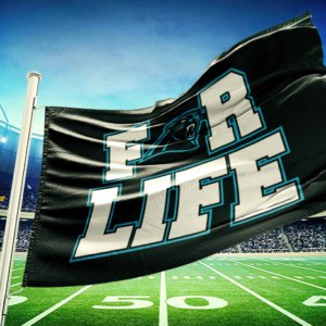 Panthers for life flag