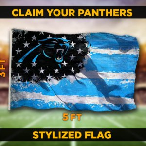 Panthers Stylized Flag