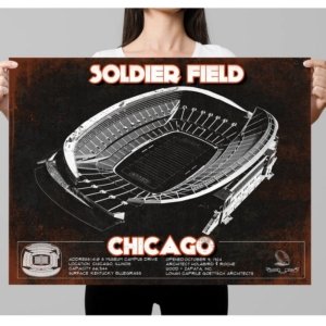 Bears Vintage Stadium Print