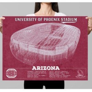 Cardinals Vintage Stadium Print