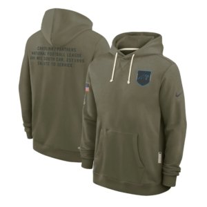 Panthers Olive 2025 Salute to Service Hoodie